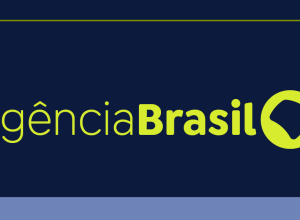 pesquisadores-descobrem-nova-especie-de-marsupial-exclusiva-do-rj